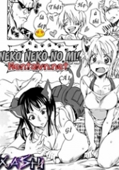 Neko Neko No Mi (One Piece)
