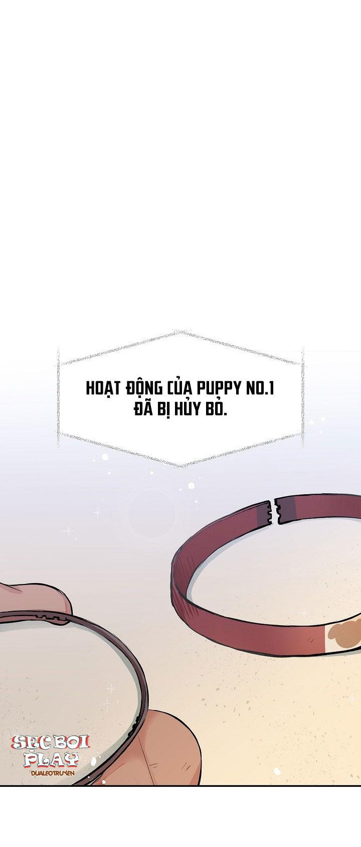 Good Dog , My Boy Chapter 5 - Trang 23